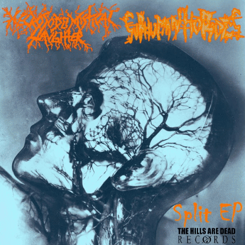 Subhuman Hordes : Split EP